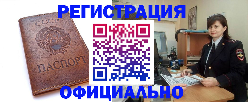 прописка 2025 в Елизово